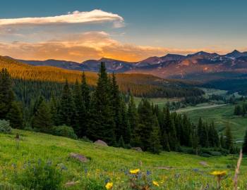 Golden Hour View Of Copper Mountain Wilderness With Colorado Wildflowers