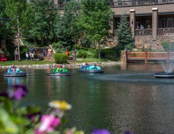 Bumper Boats