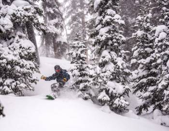 copper mountain tree skiing