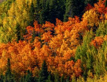 copper mountain fall activities