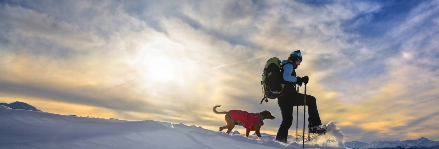 Copper Mountain Pet Friendly Lodging 