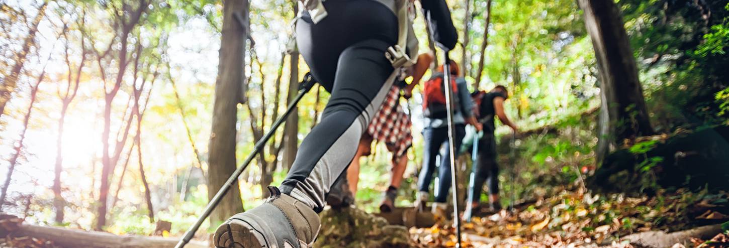 group of people hiking with the person in the back in the forefront of image