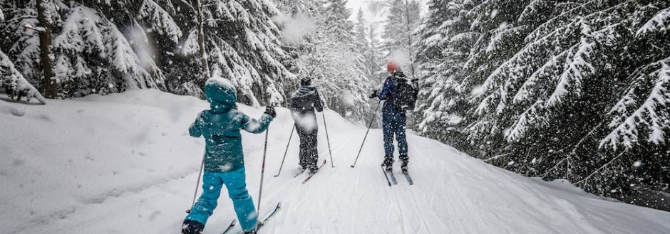 family nordic skiing