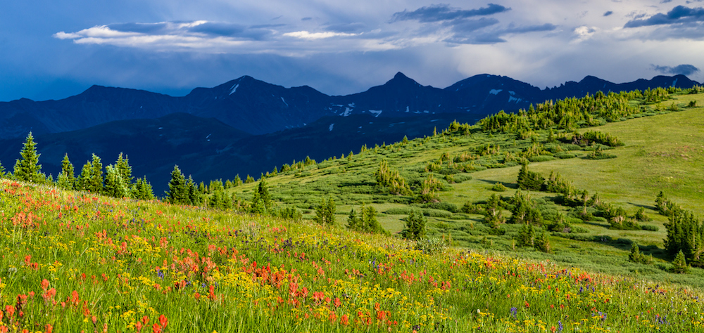 copper mountain in colorado features wildflowers and wide open meadows