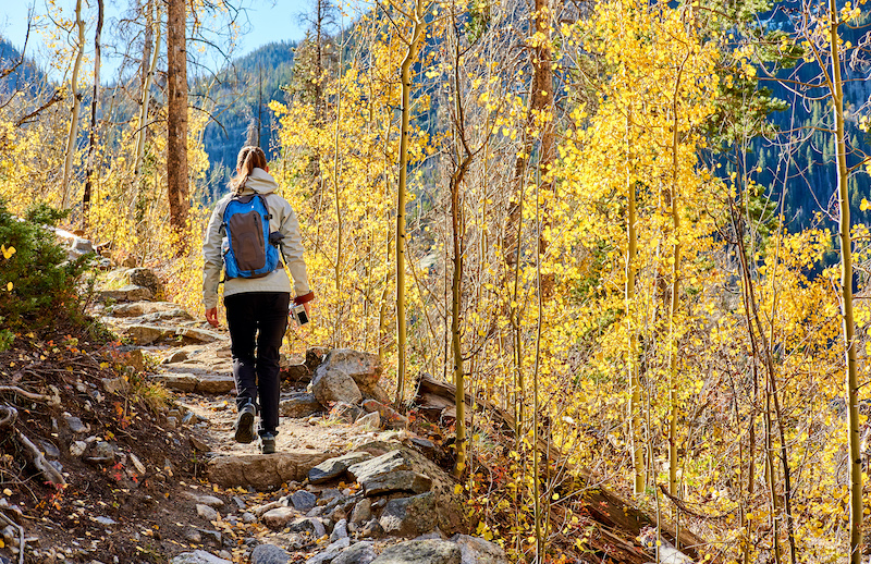fall hike with aspen trees