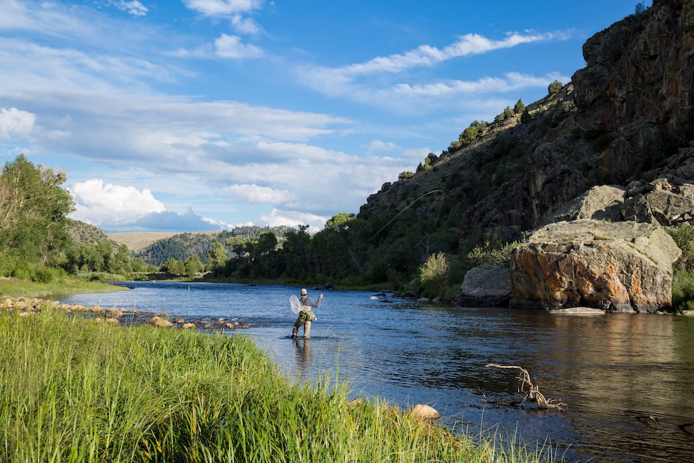 Fly fishing in colorado river