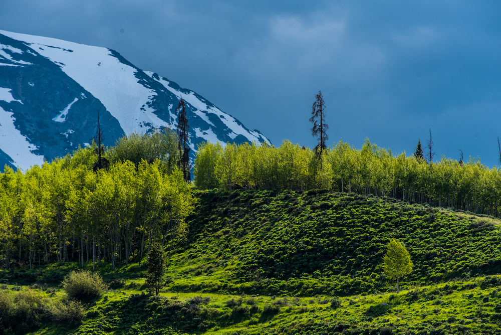 spring in colorado